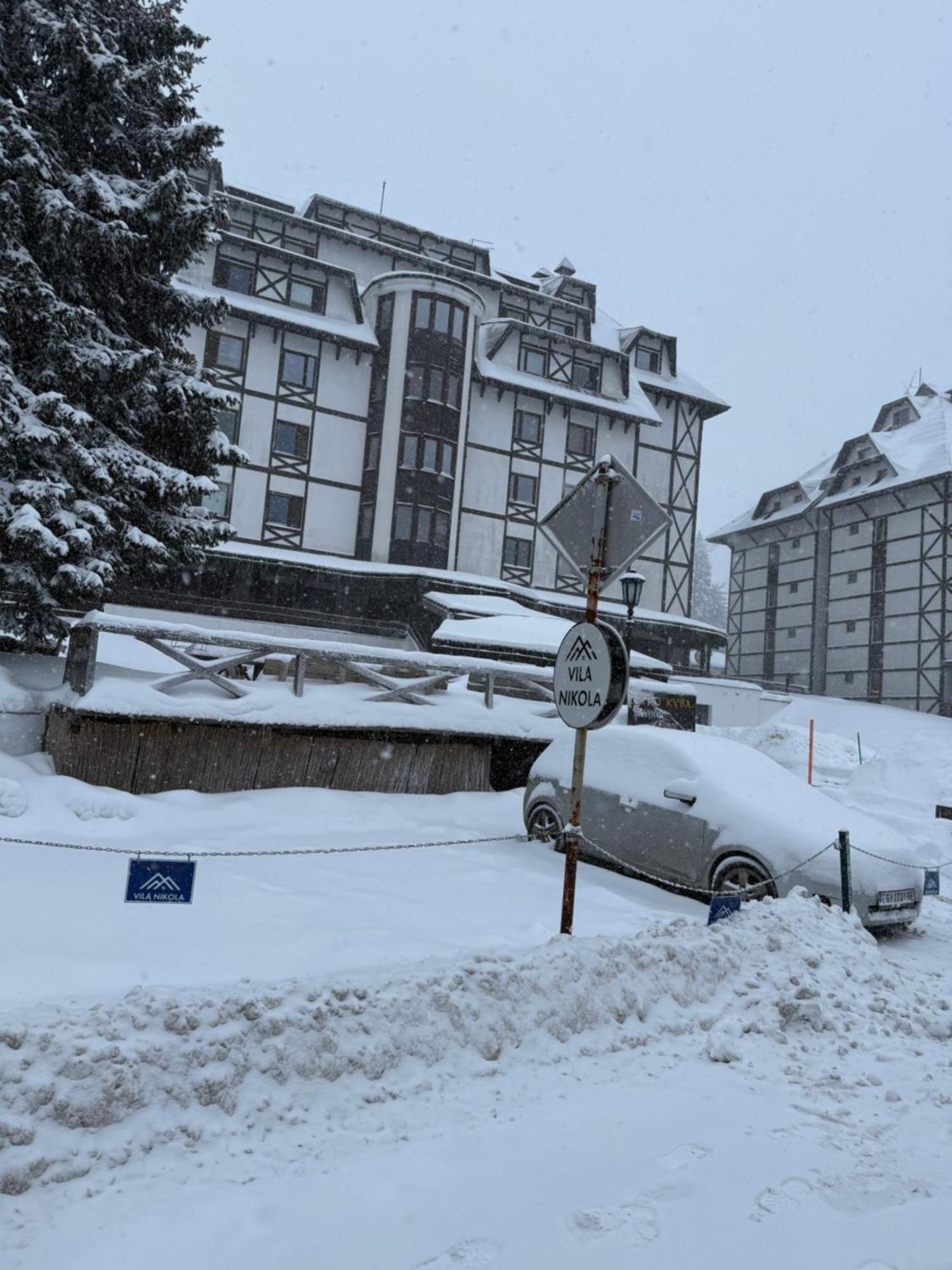 Juli Kop * Kopaonik
